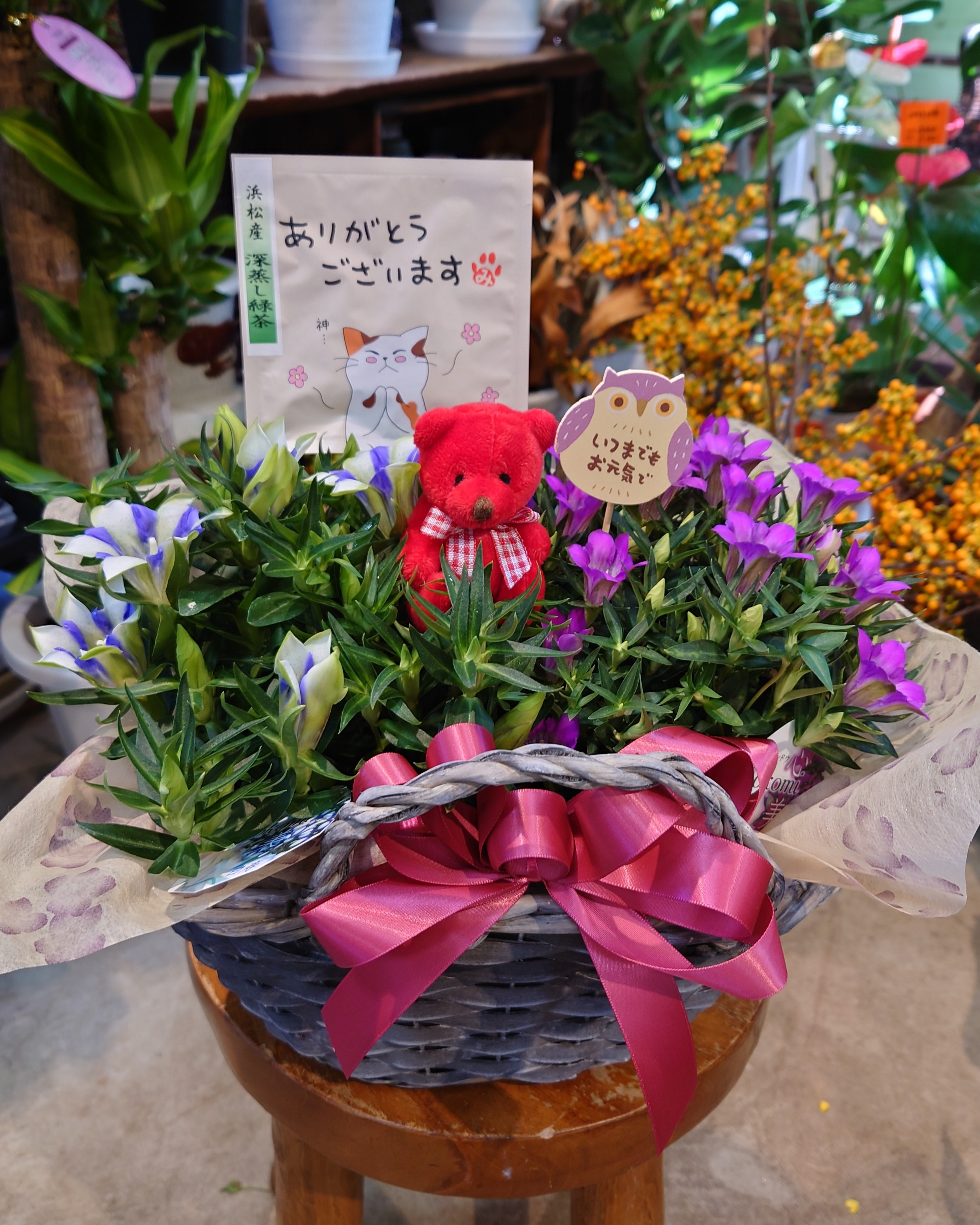 敬老の日に秋の花　リンドウの詰め合わせ