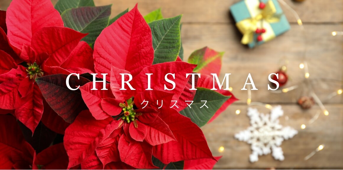 クリスマス特集